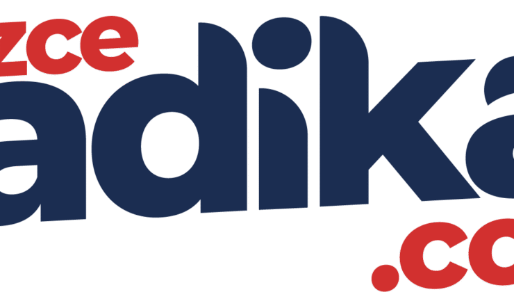 Düzce Radikal