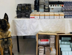 DÜZCE’DE KAÇAKÇILIĞA DARBE! 7 DİNAMİT, 75 BİN MAKARON ELE GEÇİRİLDİ