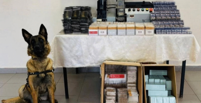 DÜZCE’DE KAÇAKÇILIĞA DARBE! 7 DİNAMİT, 75 BİN MAKARON ELE GEÇİRİLDİ